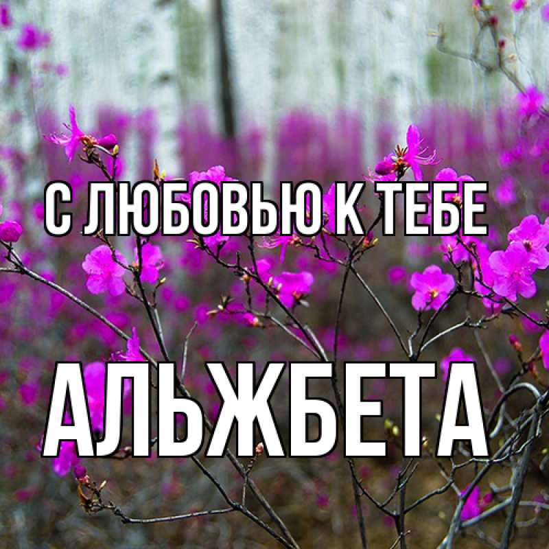 Картинка С любовью к тебе, Альжбета