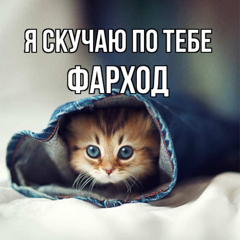 Картинка Я скучаю по тебе, Фарход