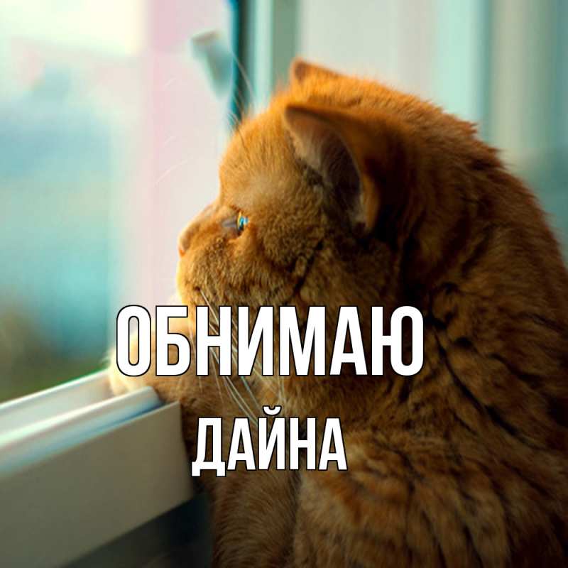 Картинка Обнимаю, Дайна