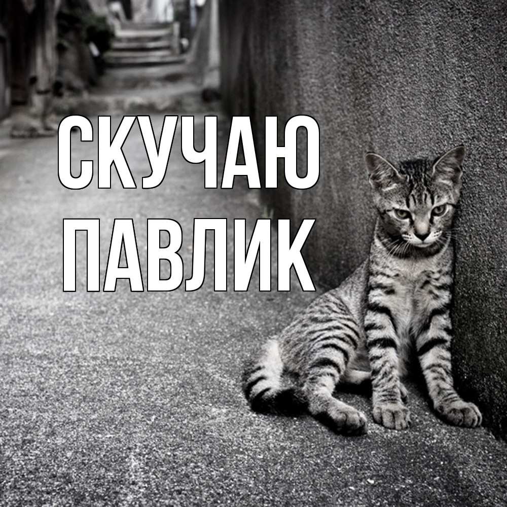 Открытка  с именем. Павлик, Скучаю  