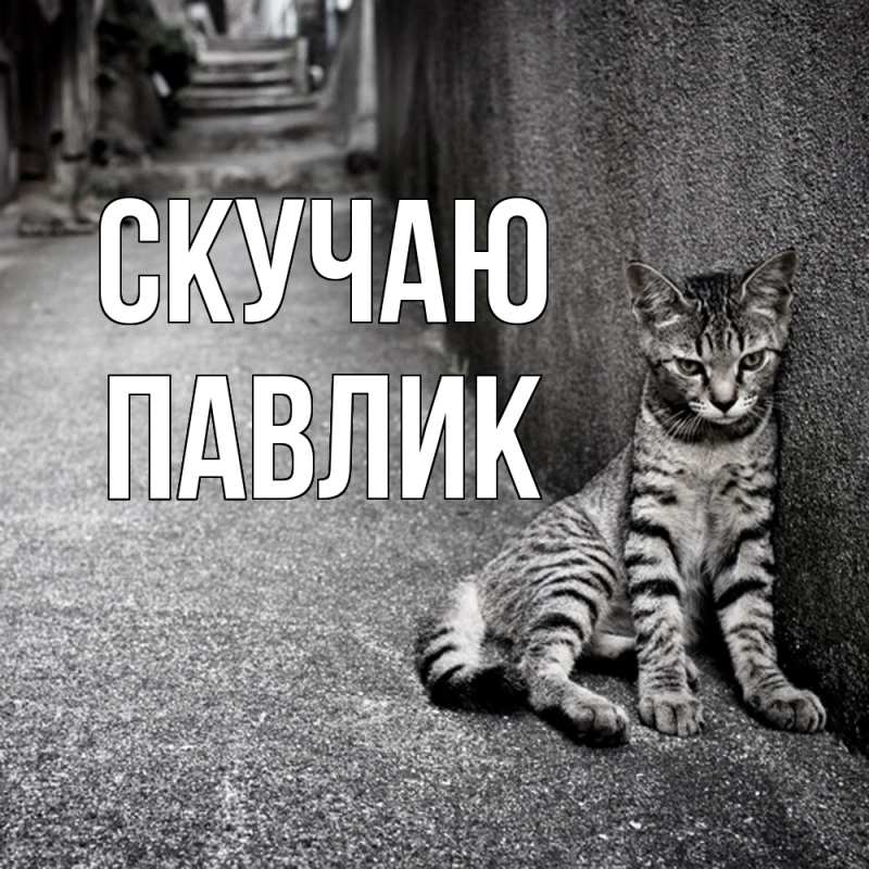Картинка Скучаю, Павлик