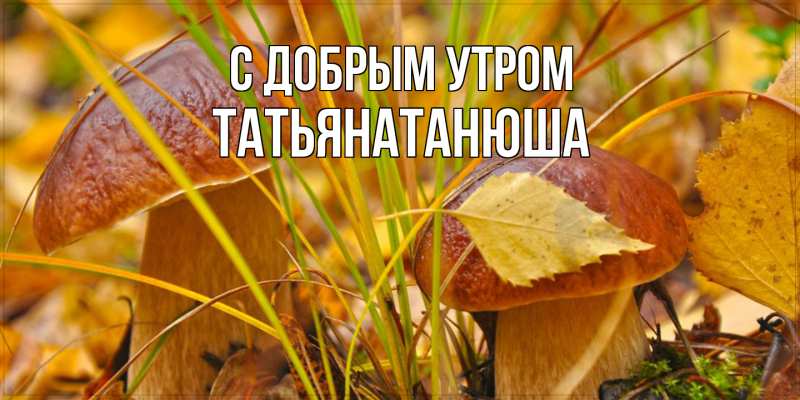 Картинка С добрым утром, Татьянатанюша
