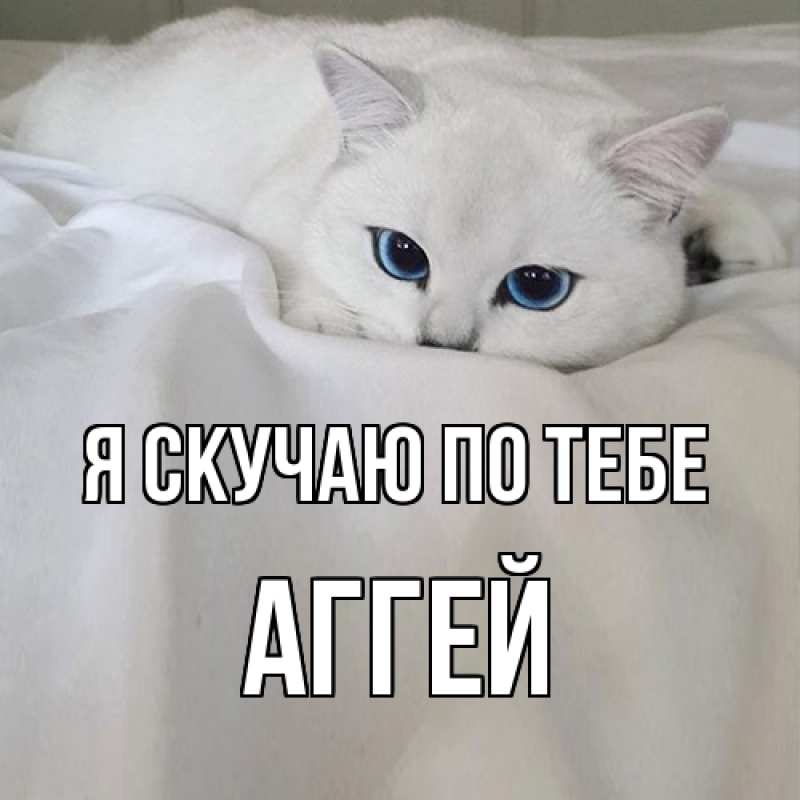 Картинка Я скучаю по тебе, Аггей