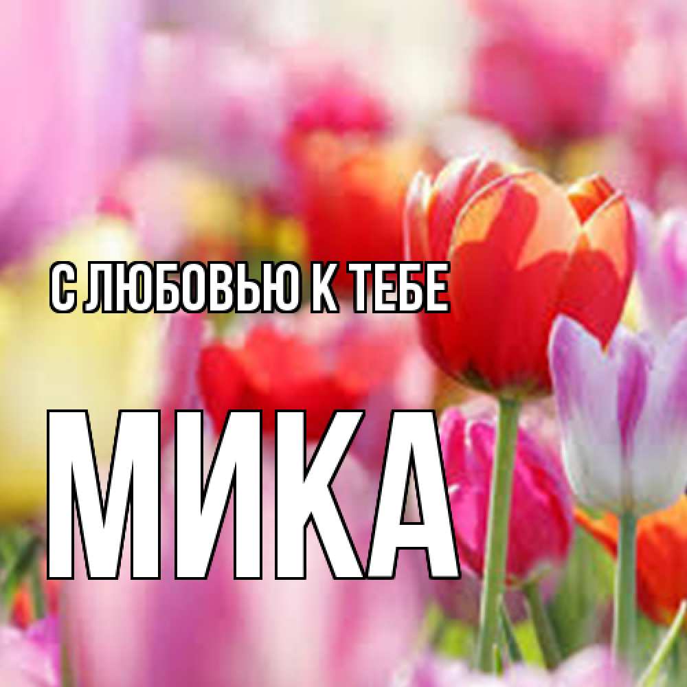 Открытка  с именем. мика, С любовью к тебе  