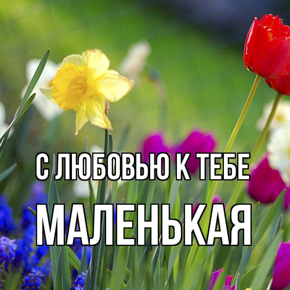 Открытка  с именем. Маленькая, С любовью к тебе  