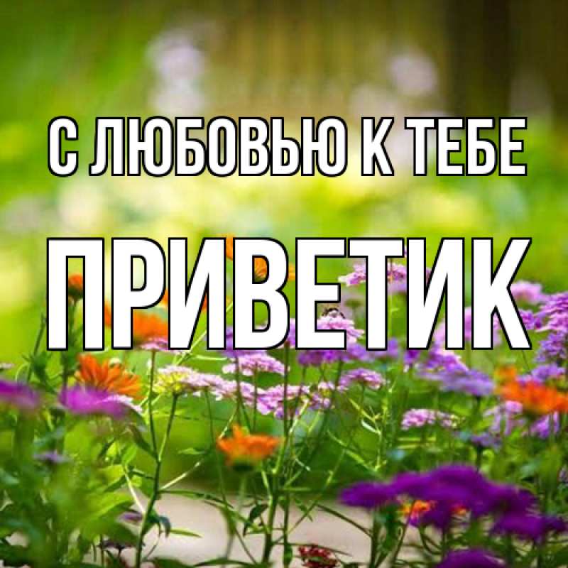 Картинка С любовью к тебе, приветик