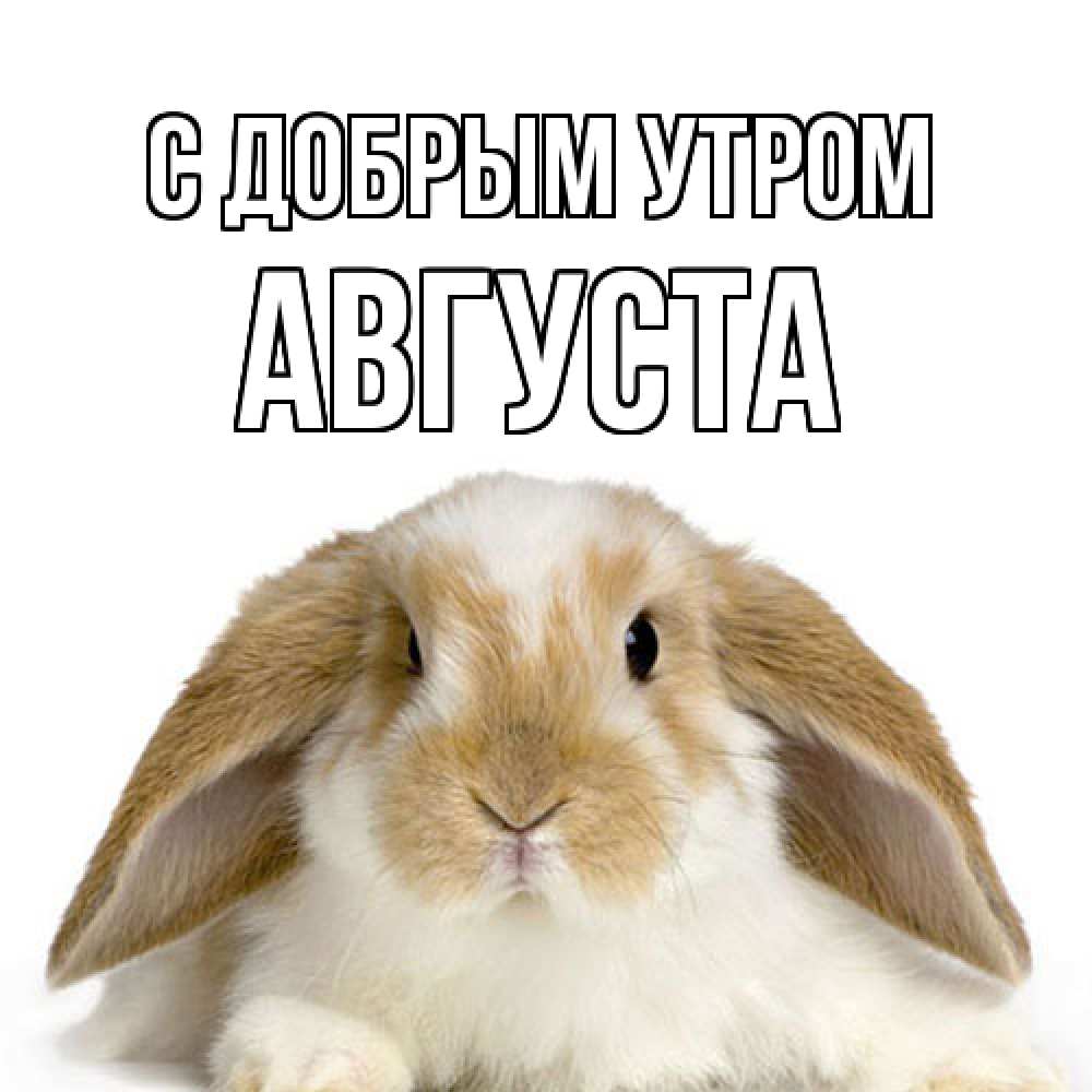 Открытка  с именем. Августа, С добрым утром  