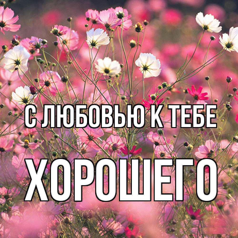 Открытка  с именем. Хорошего, С любовью к тебе  