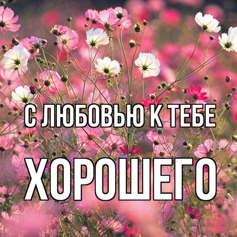 Картинка С любовью к тебе, Хорошего
