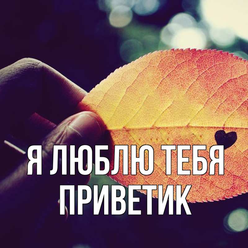 Картинка Я люблю тебя, приветик