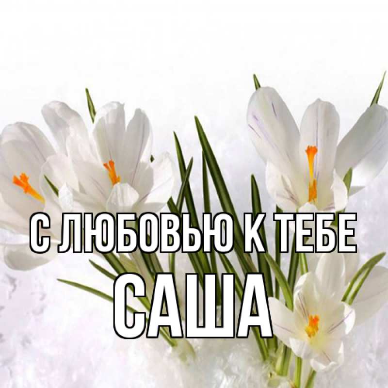 Картинка С любовью к тебе, Саша