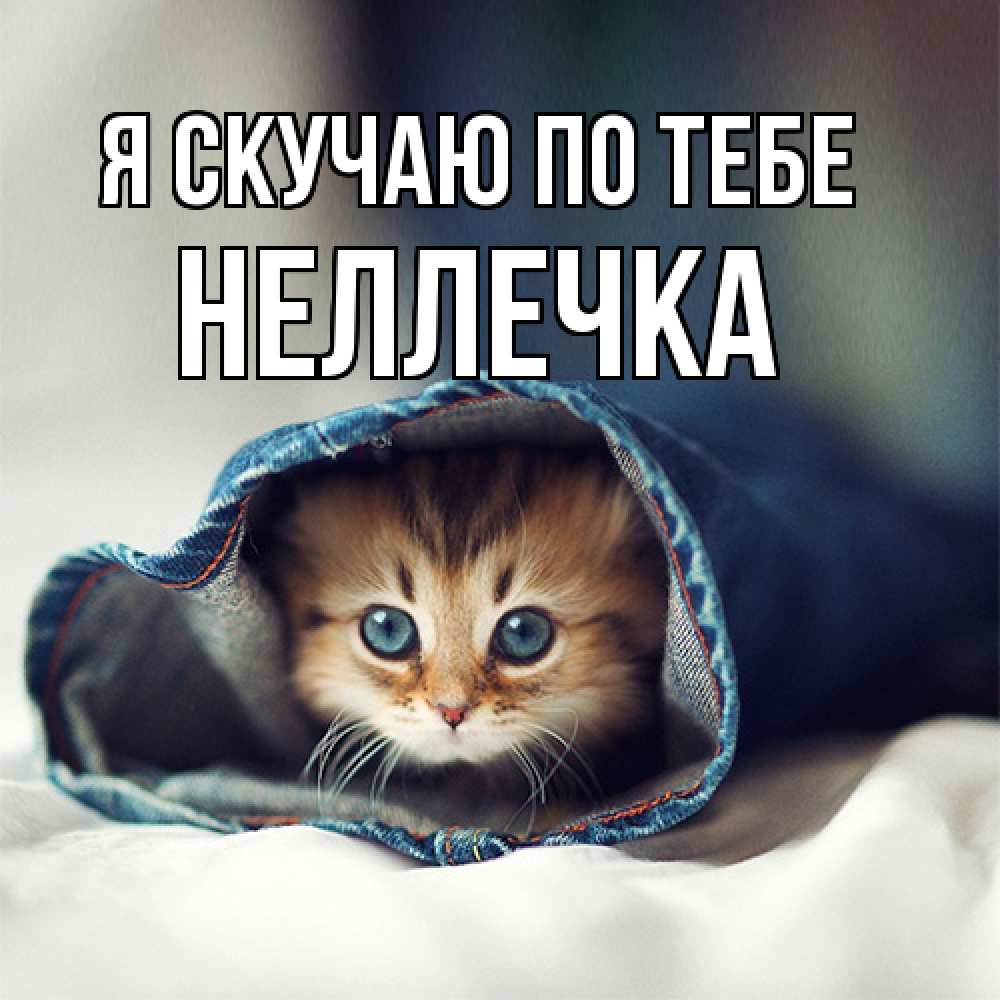 Открытка  с именем. Неллечка, Я скучаю по тебе  