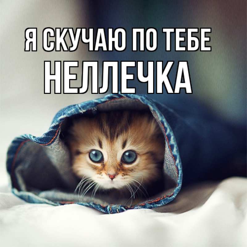 Картинка Я скучаю по тебе, Неллечка
