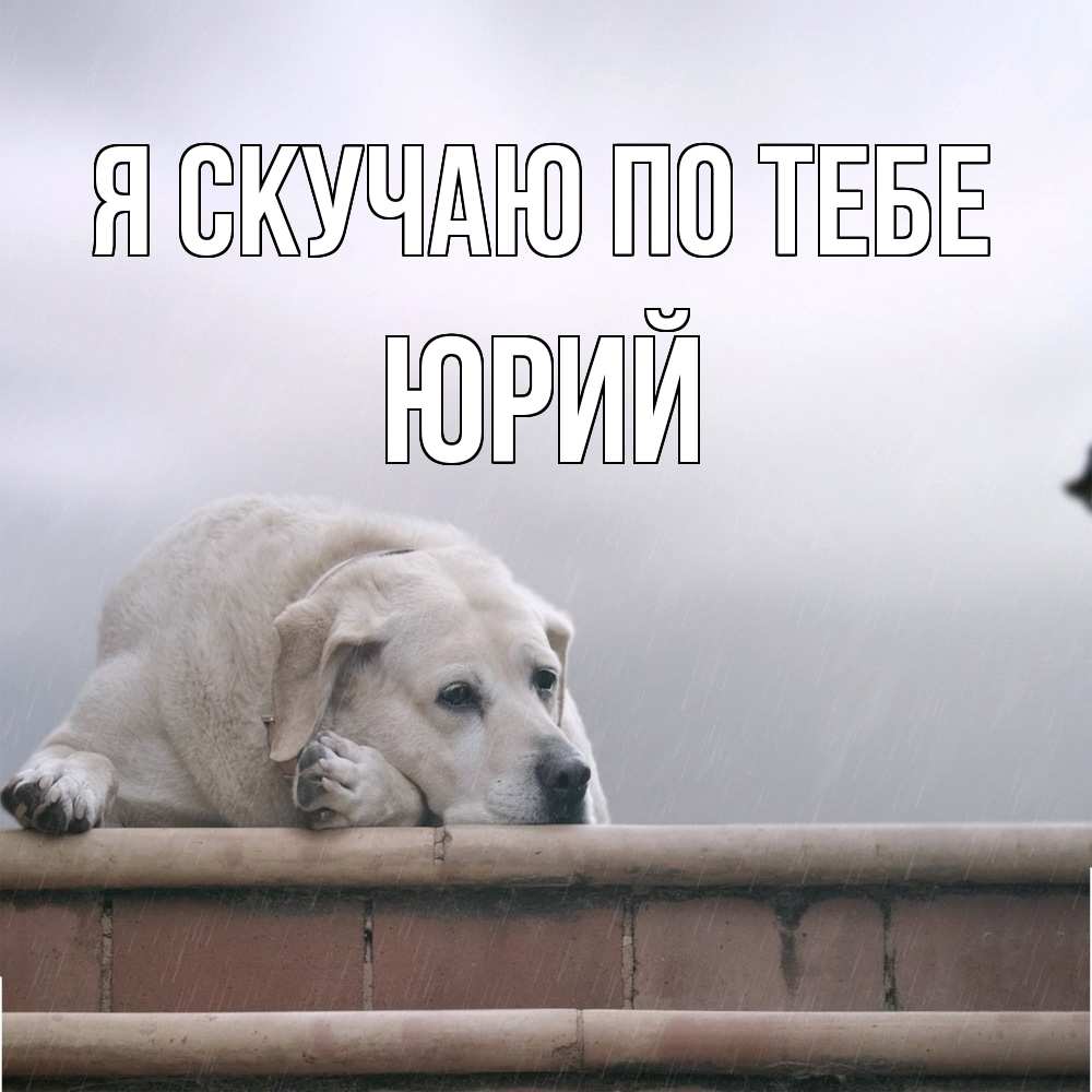 Открытка  с именем. Юрий, Я скучаю по тебе  