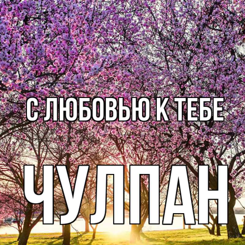 Картинка С любовью к тебе, Чулпан
