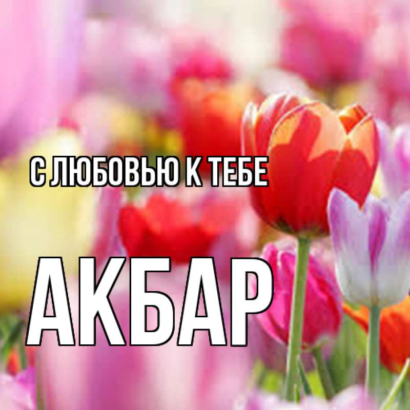 Открытка с именем, Акбар, С любовью к тебе