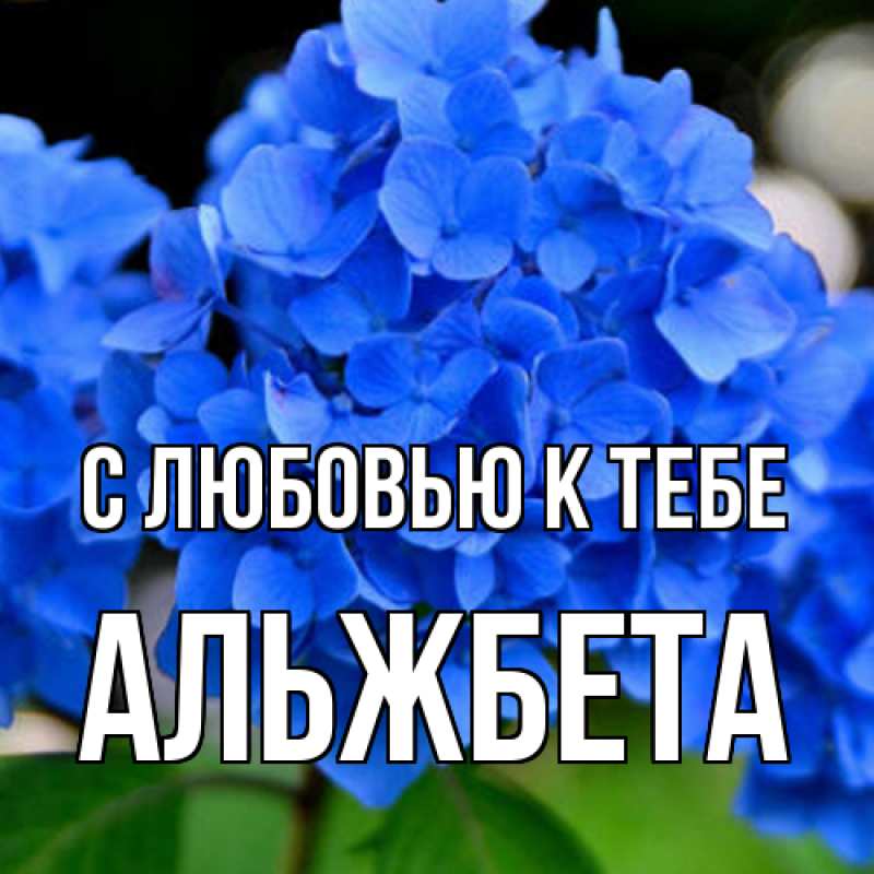 Картинка С любовью к тебе, Альжбета