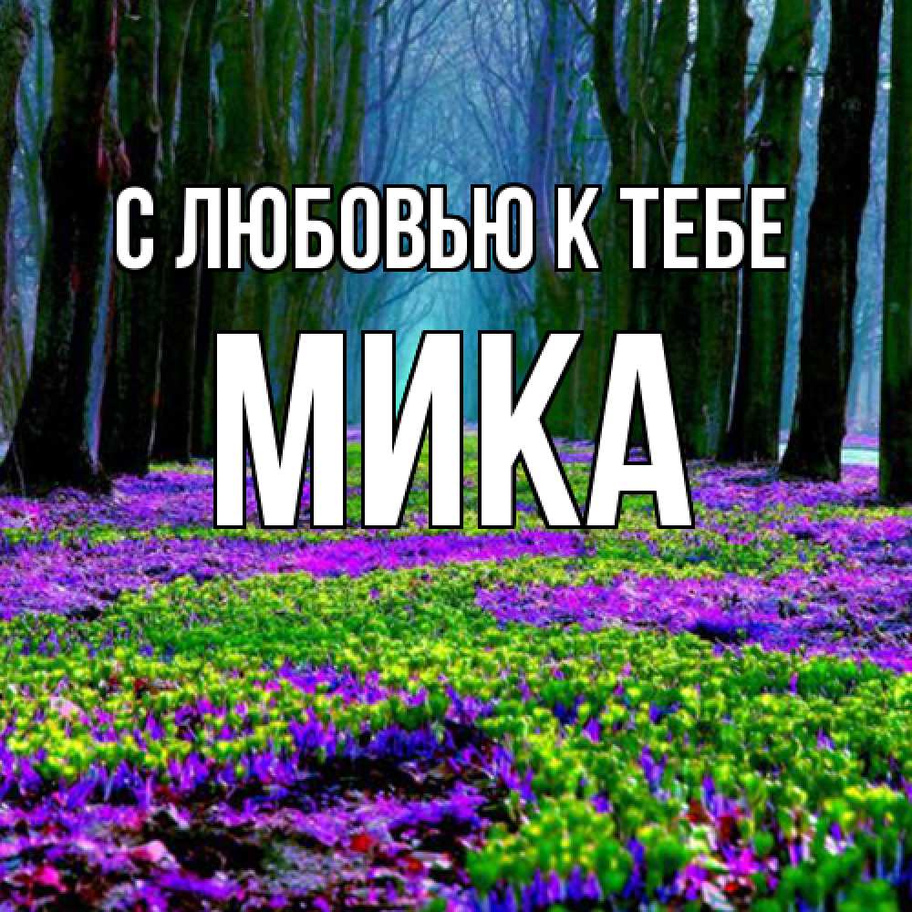 Открытка  с именем. мика, С любовью к тебе  