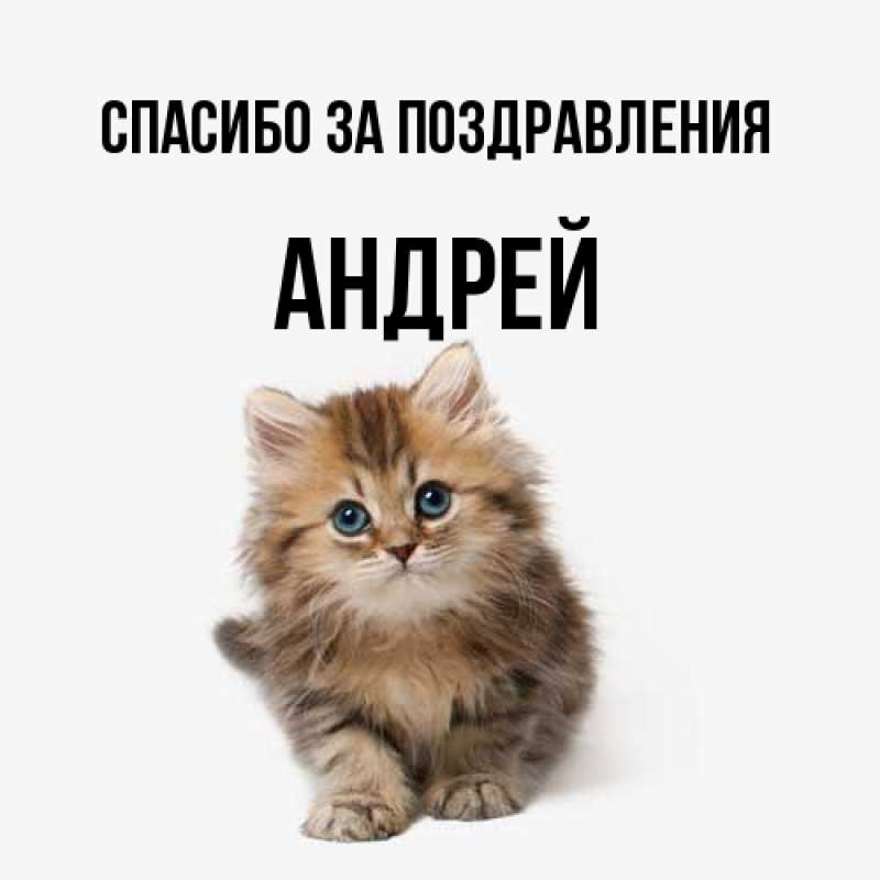 Картинка Спасибо за поздравления, Андрей