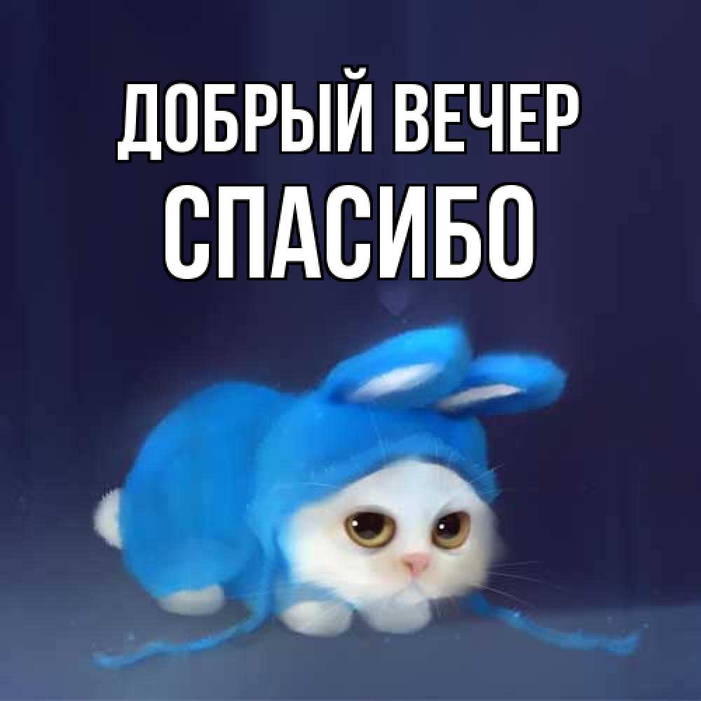 Открытка  с именем. СПАСИБО, Добрый вечер  