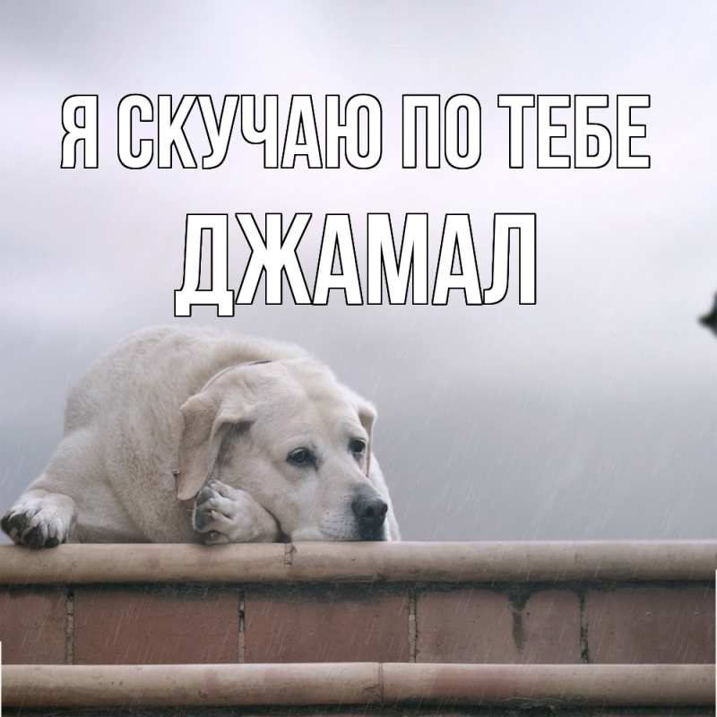 Картинка Я скучаю по тебе, Джамал