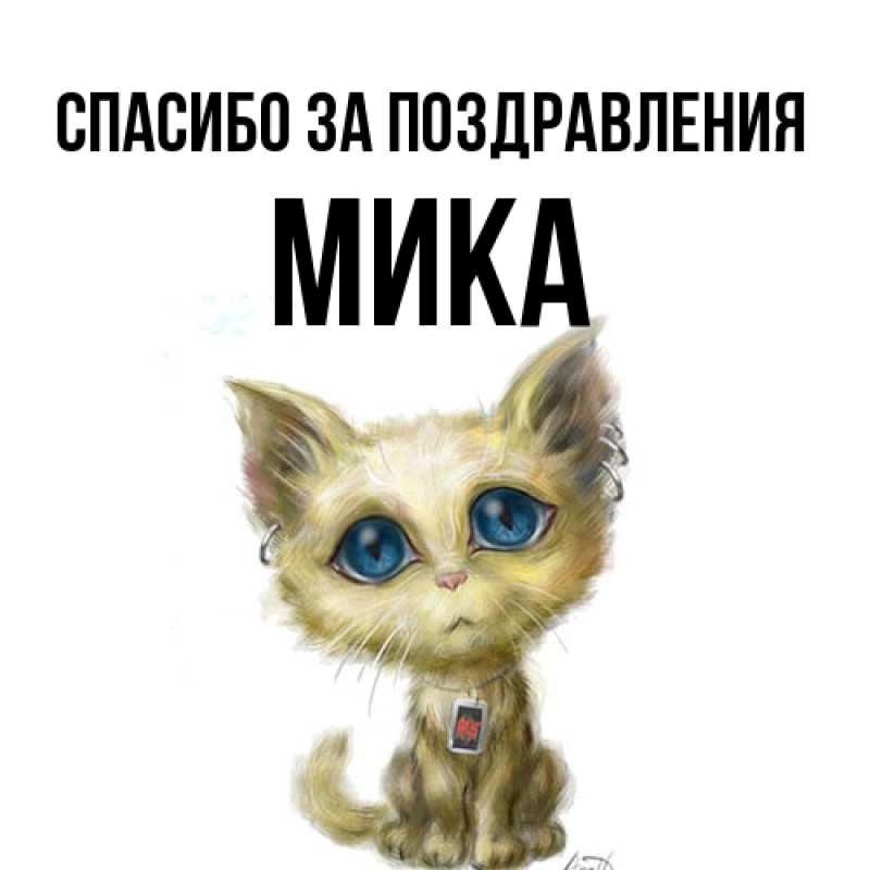 Картинка Спасибо за поздравления, мика