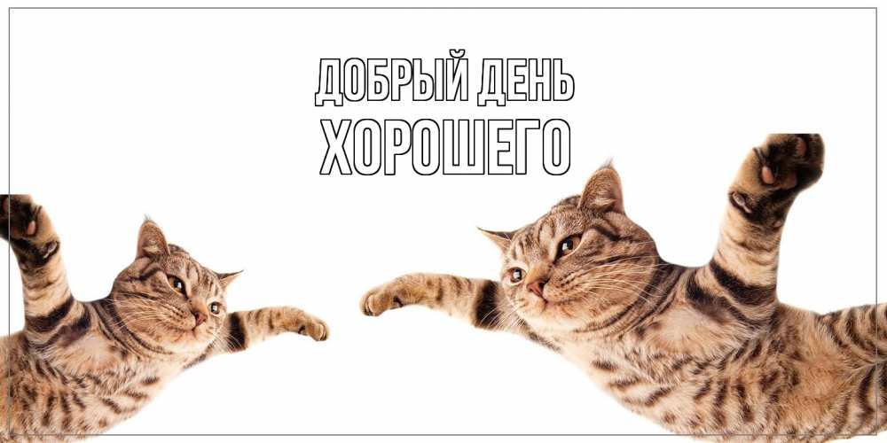 Открытка  с именем. Хорошего, Добрый день  