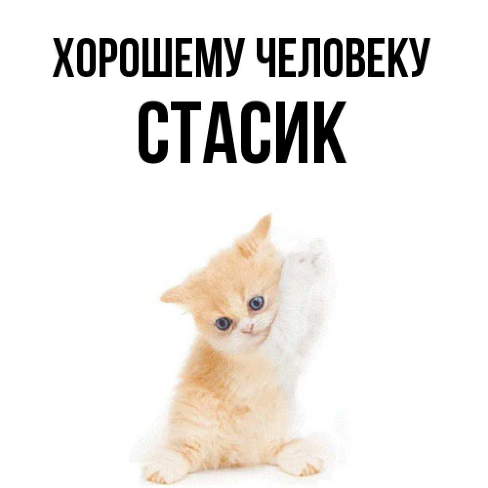Открытка  с именем. Стасик, Хорошему человеку  