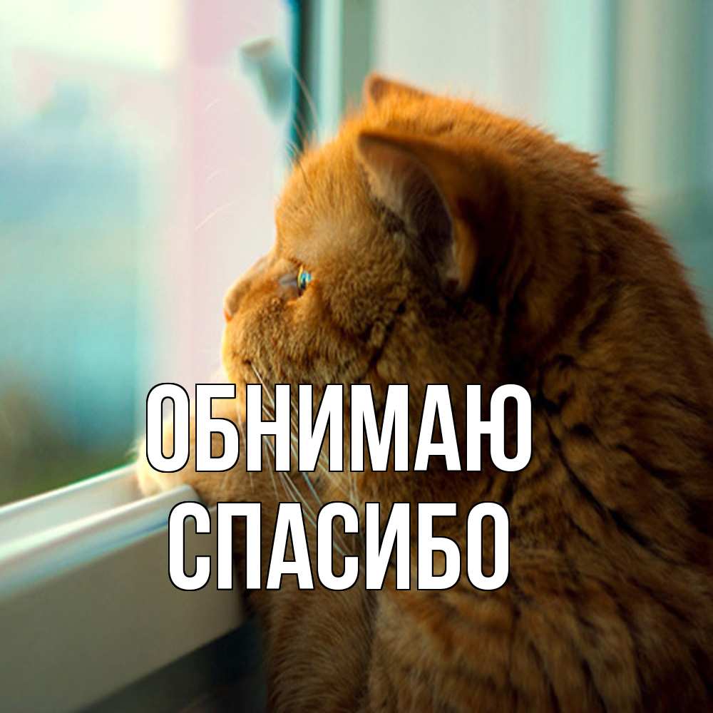 Открытка  с именем. СПАСИБО, Обнимаю  