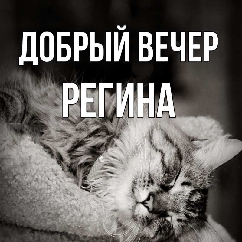 Картинка Добрый вечер, Регина