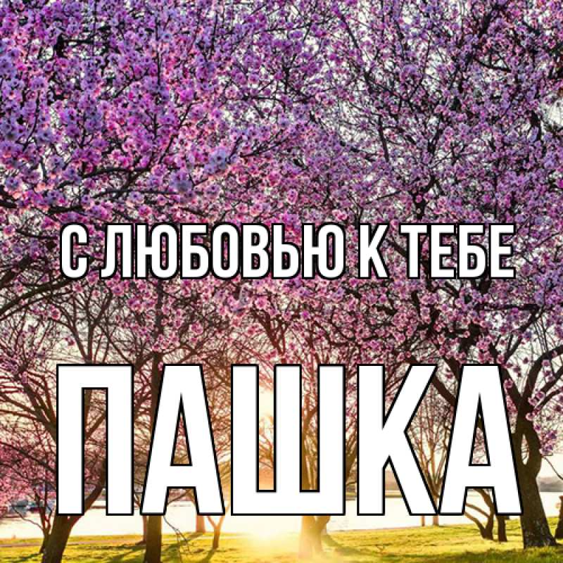 Открытка с именем, Пашка, С любовью к тебе
