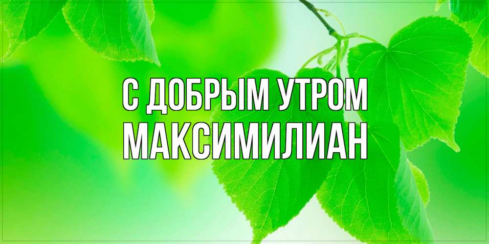 Открытка  с именем. Максимилиан, С добрым утром  