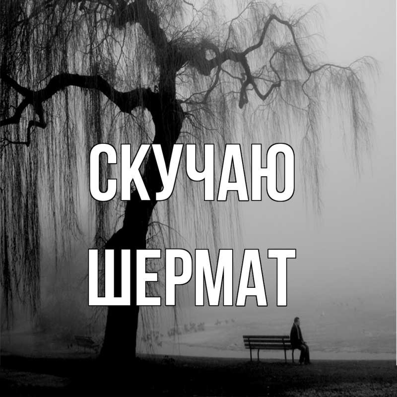 Картинка Скучаю, Шермат