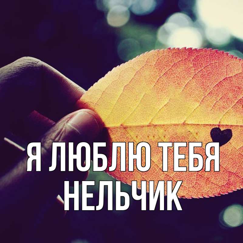 Картинка Я люблю тебя, Нельчик