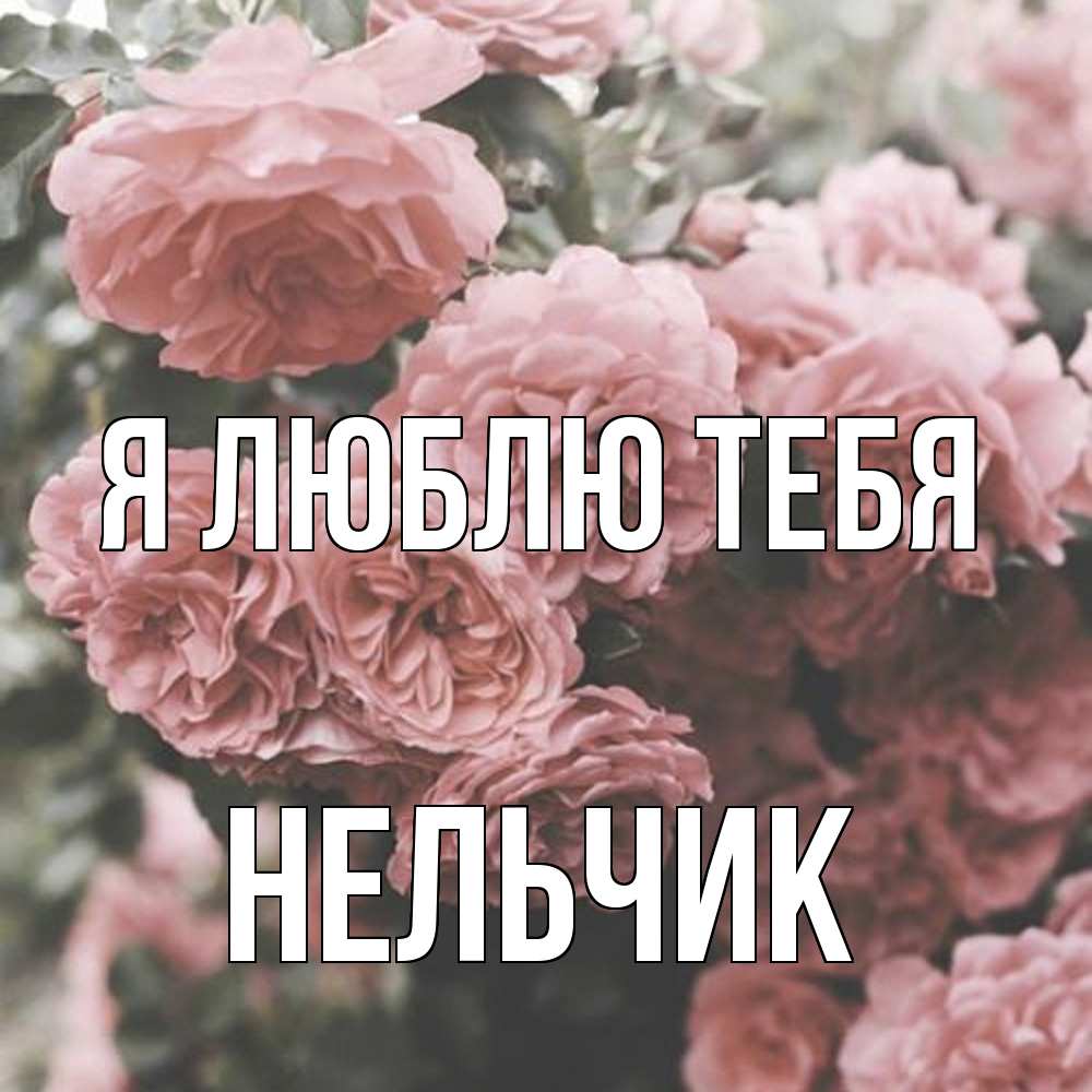 Открытка  с именем. Нельчик, Я люблю тебя  