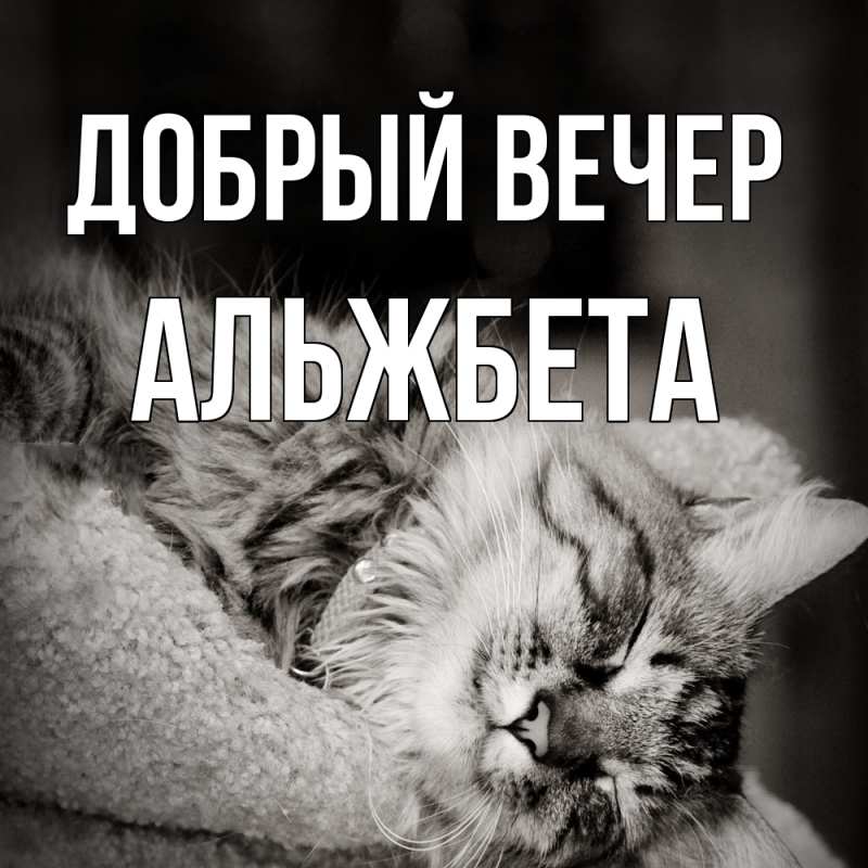 Картинка Добрый вечер, Альжбета