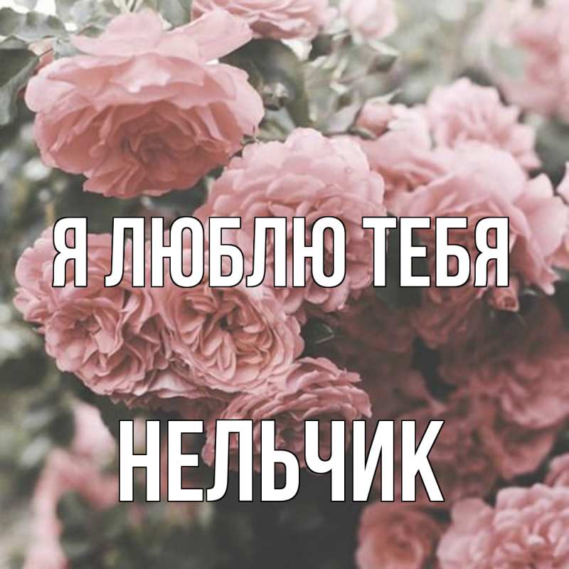 Картинка Я люблю тебя, Нельчик