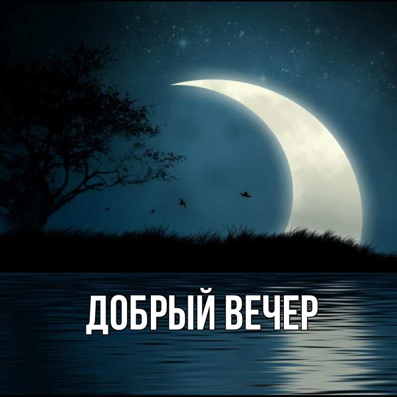 Открытка с подписью, открытка-бесплатно, Добрый вечер