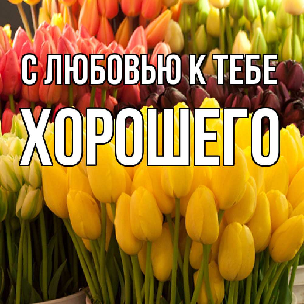 Открытка  с именем. Хорошего, С любовью к тебе  
