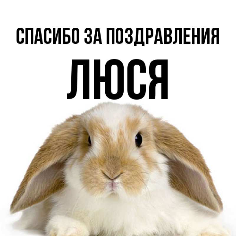 Картинка Спасибо за поздравления, Люся
