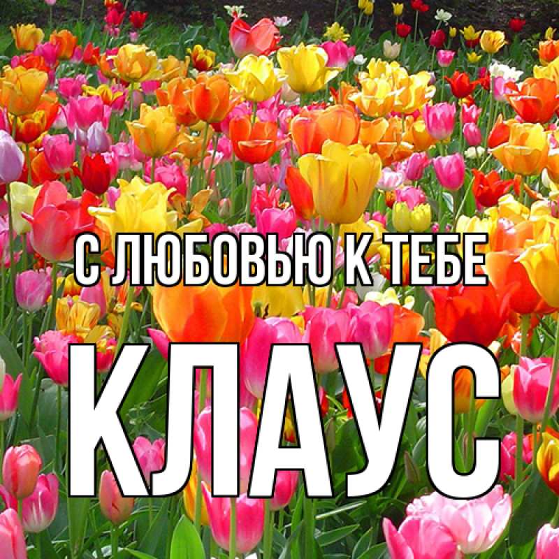 Картинка С любовью к тебе, Клаус
