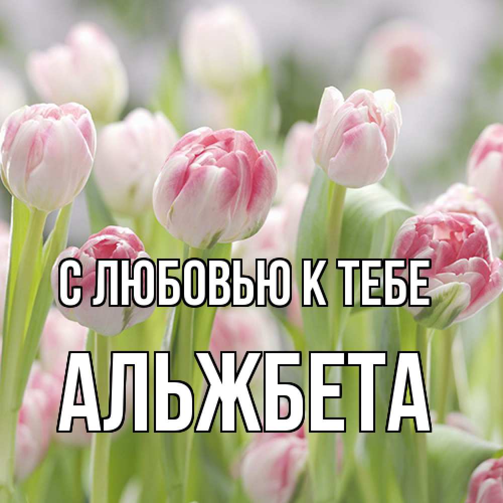 Открытка  с именем. Альжбета, С любовью к тебе  
