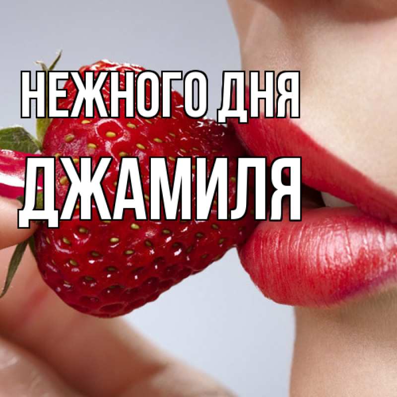 Картинка Нежного дня, Джамиля