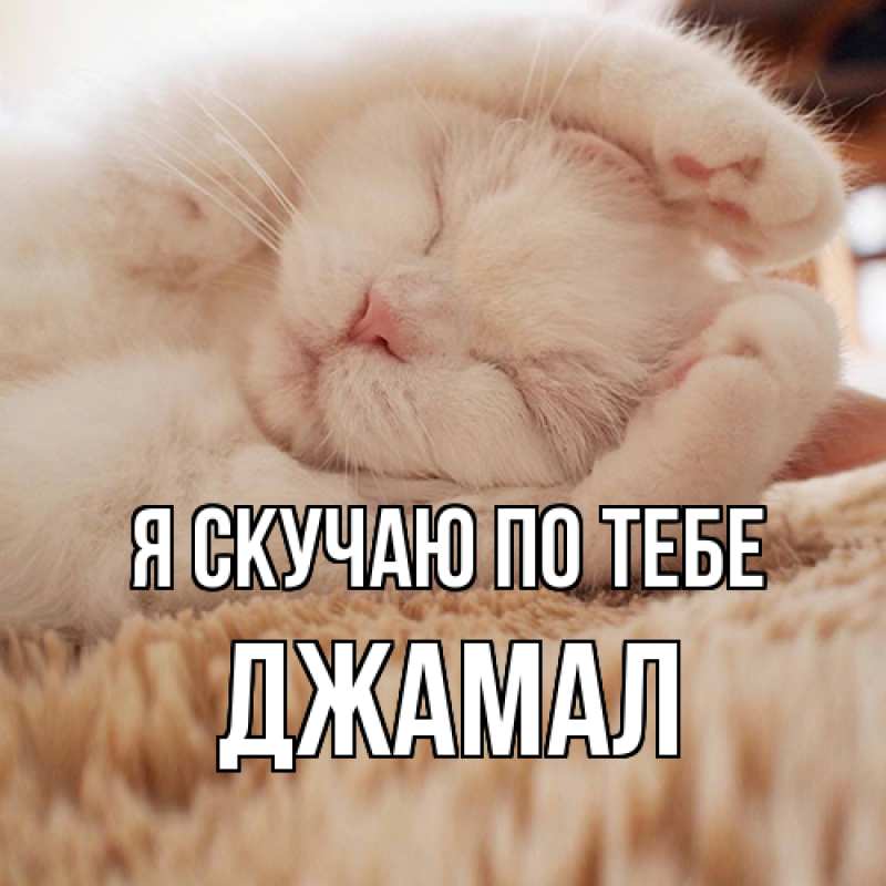 Картинка Я скучаю по тебе, Джамал