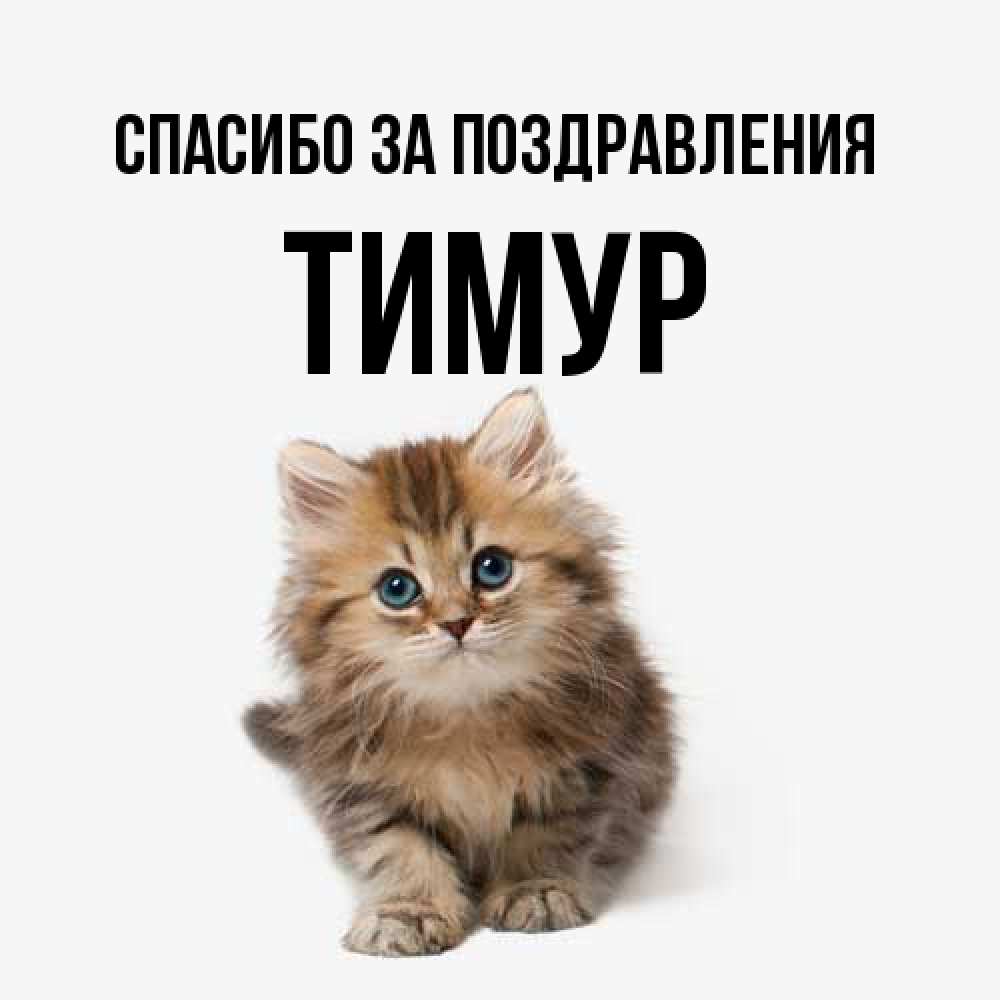 Открытка  с именем. Тимур, Спасибо за поздравления  