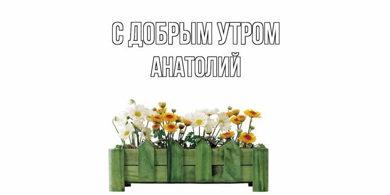 Картинка С добрым утром, Анатолий