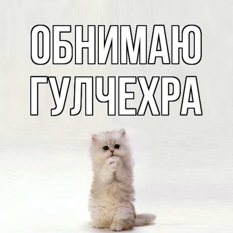 Картинка Обнимаю, Гулчехра