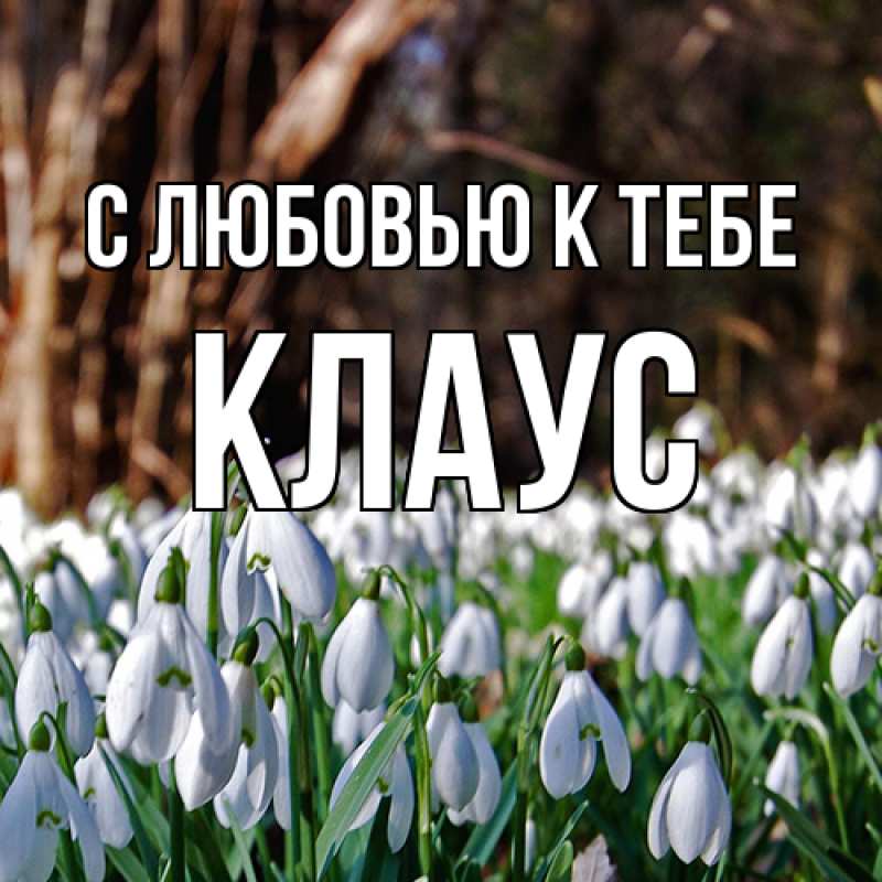 Картинка С любовью к тебе, Клаус