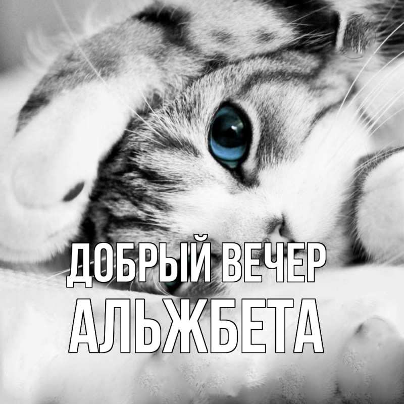 Картинка Добрый вечер, Альжбета